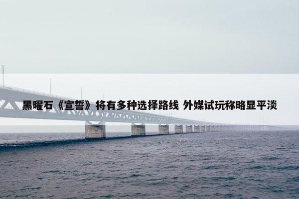 黑曜石《宣誓》将有多种选择路线 外媒试玩称略显平淡