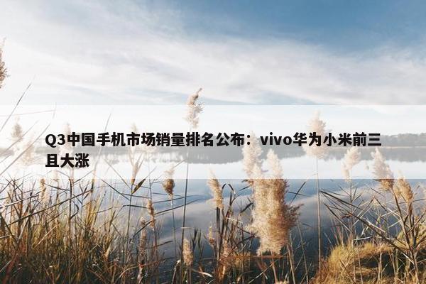 Q3中国手机市场销量排名公布：vivo华为小米前三且大涨