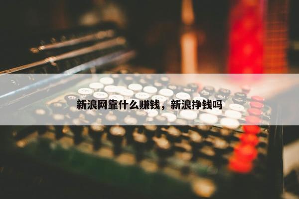 新浪网靠什么赚钱，新浪挣钱吗