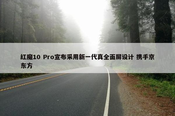 红魔10 Pro宣布采用新一代真全面屏设计 携手京东方