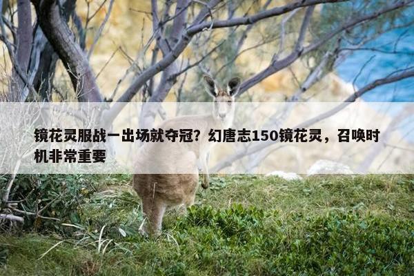 镜花灵服战一出场就夺冠？幻唐志150镜花灵，召唤时机非常重要