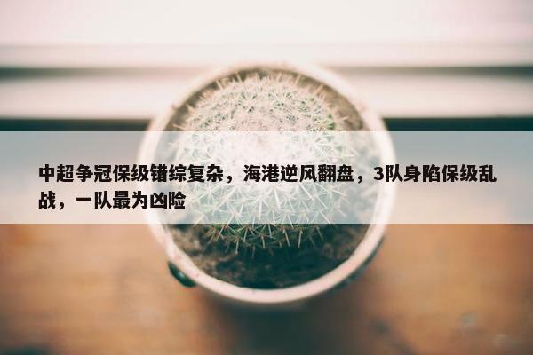 中超争冠保级错综复杂，海港逆风翻盘，3队身陷保级乱战，一队最为凶险