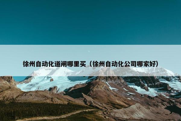 徐州自动化道闸哪里买（徐州自动化公司哪家好）