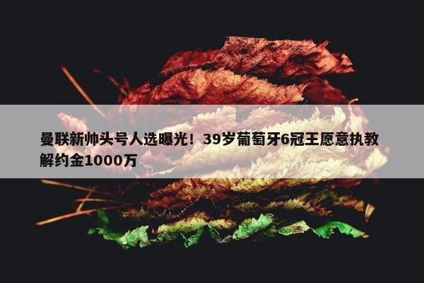 曼联新帅头号人选曝光！39岁葡萄牙6冠王愿意执教 解约金1000万