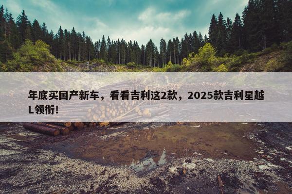 年底买国产新车，看看吉利这2款，2025款吉利星越L领衔！