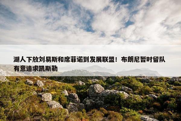 湖人下放刘易斯和席菲诺到发展联盟！布朗尼暂时留队 有意追求凯斯勒