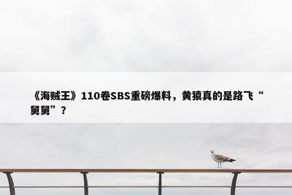 《海贼王》110卷SBS重磅爆料，黄猿真的是路飞“舅舅”？