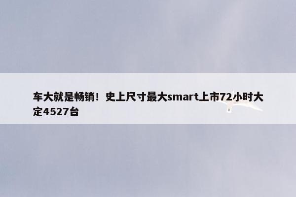 车大就是畅销！史上尺寸最大smart上市72小时大定4527台