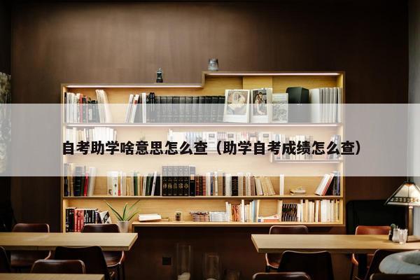 自考助学啥意思怎么查（助学自考成绩怎么查）