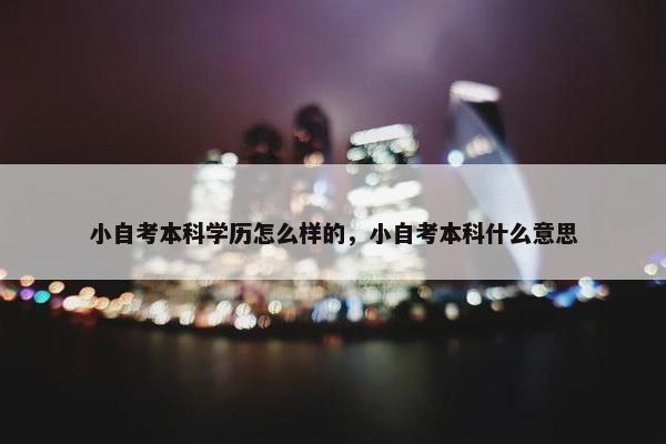 小自考本科学历怎么样的，小自考本科什么意思