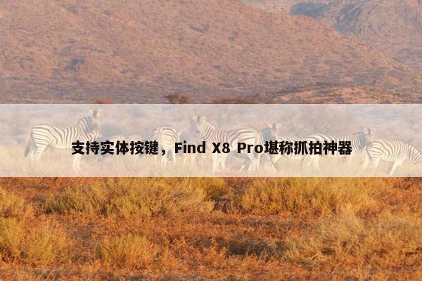 支持实体按键，Find X8 Pro堪称抓拍神器