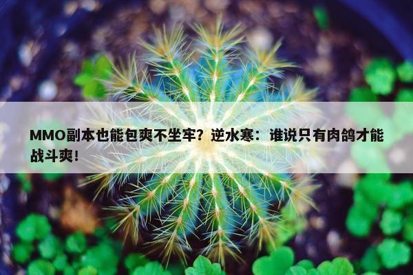 MMO副本也能包爽不坐牢？逆水寒：谁说只有肉鸽才能战斗爽！