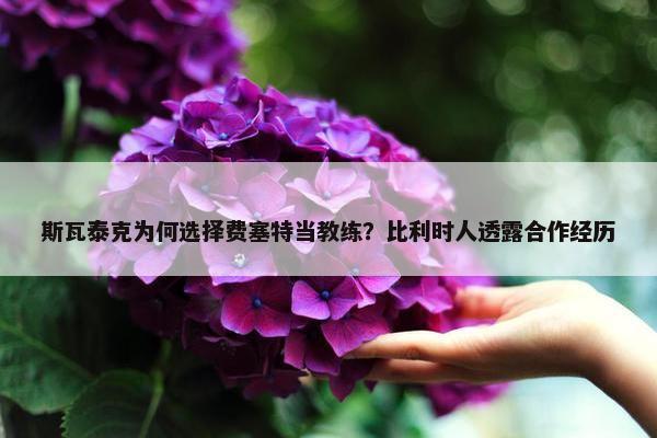 斯瓦泰克为何选择费塞特当教练？比利时人透露合作经历