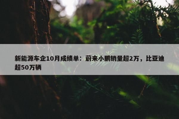 新能源车企10月成绩单：蔚来小鹏销量超2万，比亚迪超50万辆