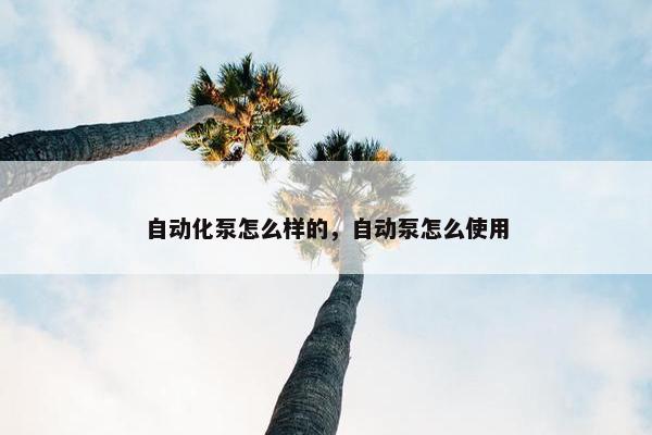 自动化泵怎么样的，自动泵怎么使用