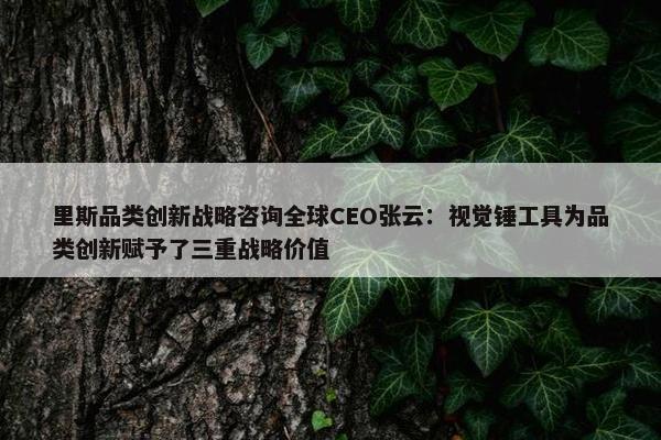 里斯品类创新战略咨询全球CEO张云：视觉锤工具为品类创新赋予了三重战略价值