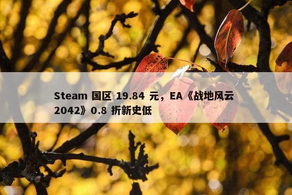 Steam 国区 19.84 元，EA《战地风云 2042》0.8 折新史低