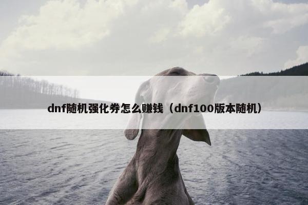 dnf随机强化券怎么赚钱（dnf100版本随机）