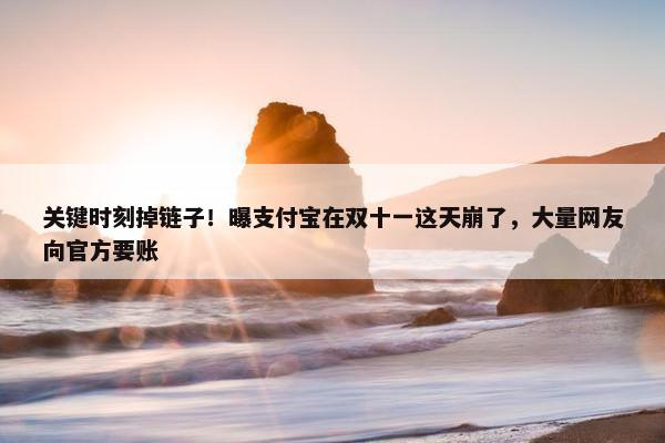 关键时刻掉链子！曝支付宝在双十一这天崩了，大量网友向官方要账