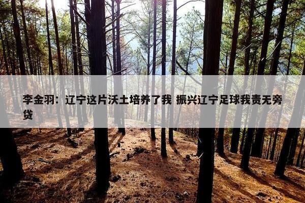 李金羽：辽宁这片沃土培养了我 振兴辽宁足球我责无旁贷