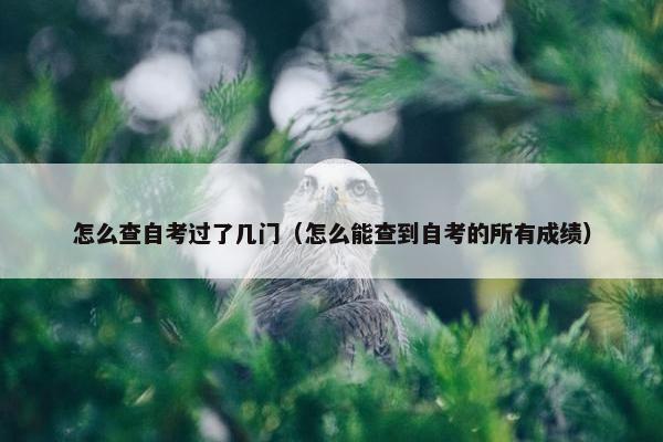 怎么查自考过了几门（怎么能查到自考的所有成绩）