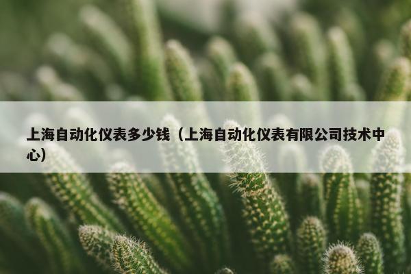 上海自动化仪表多少钱（上海自动化仪表有限公司技术中心）