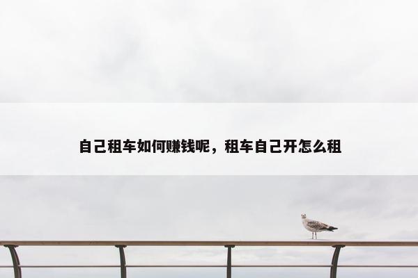 自己租车如何赚钱呢，租车自己开怎么租