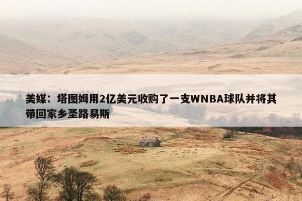 美媒：塔图姆用2亿美元收购了一支WNBA球队并将其带回家乡圣路易斯