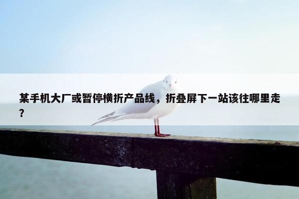 某手机大厂或暂停横折产品线，折叠屏下一站该往哪里走？