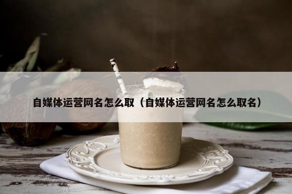 自媒体运营网名怎么取（自媒体运营网名怎么取名）