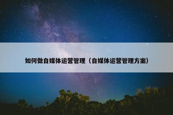 如何做自媒体运营管理（自媒体运营管理方案）