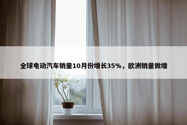 全球电动汽车销量10月份增长35%，欧洲销量微增