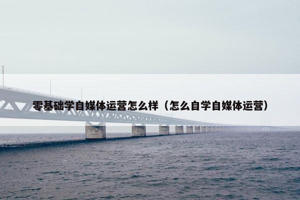 零基础学自媒体运营怎么样（怎么自学自媒体运营）