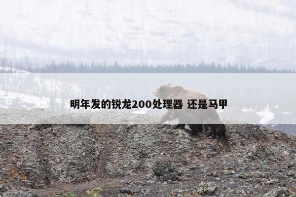 明年发的锐龙200处理器 还是马甲