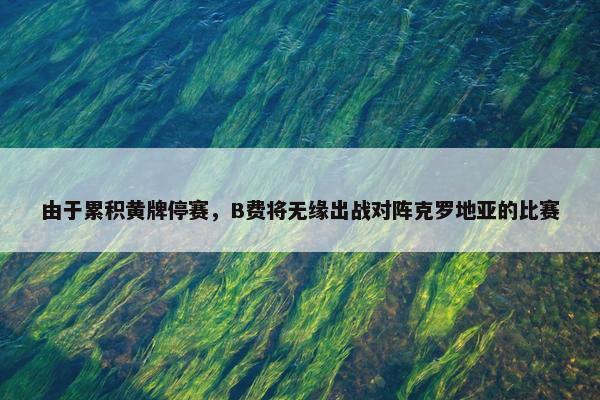 由于累积黄牌停赛，B费将无缘出战对阵克罗地亚的比赛