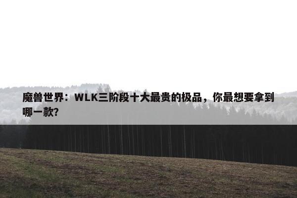 魔兽世界：WLK三阶段十大最贵的极品，你最想要拿到哪一款？