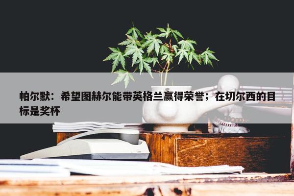 帕尔默：希望图赫尔能带英格兰赢得荣誉；在切尔西的目标是奖杯