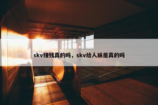 skv赚钱真的吗，skv给人脉是真的吗