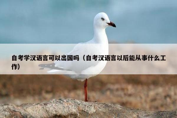 自考学汉语言可以出国吗（自考汉语言以后能从事什么工作）