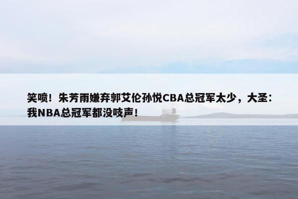 笑喷！朱芳雨嫌弃郭艾伦孙悦CBA总冠军太少，大圣：我NBA总冠军都没吱声！