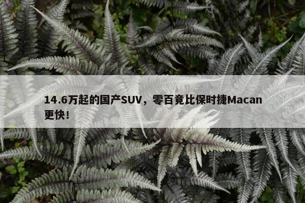 14.6万起的国产SUV，零百竟比保时捷Macan更快！