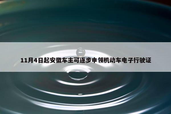 11月4日起安徽车主可逐步申领机动车电子行驶证