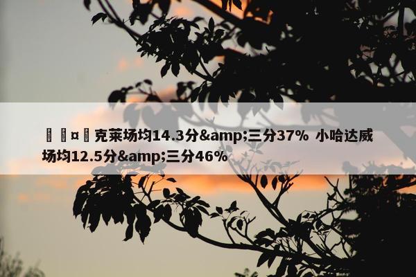 🤔克莱场均14.3分&三分37% 小哈达威场均12.5分&三分46%