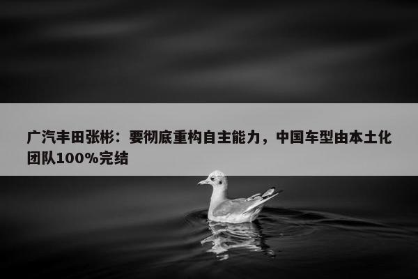 广汽丰田张彬：要彻底重构自主能力，中国车型由本土化团队100%完结