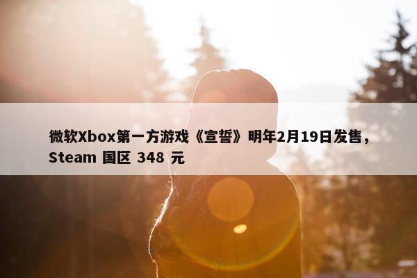 微软Xbox第一方游戏《宣誓》明年2月19日发售，Steam 国区 348 元