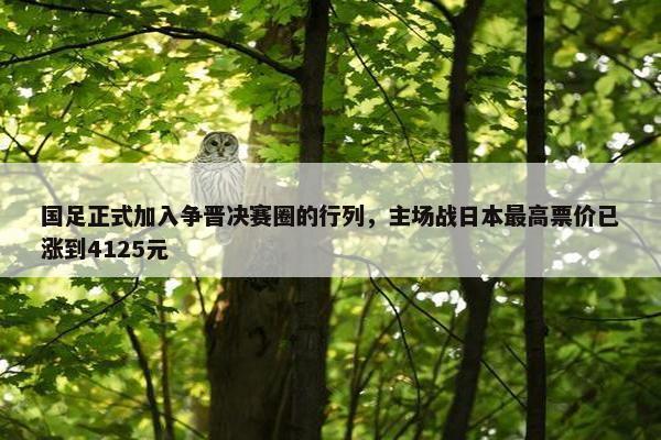 国足正式加入争晋决赛圈的行列，主场战日本最高票价已涨到4125元