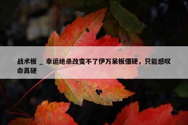 战术板 _ 幸运绝杀改变不了伊万呆板僵硬，只能感叹命真硬