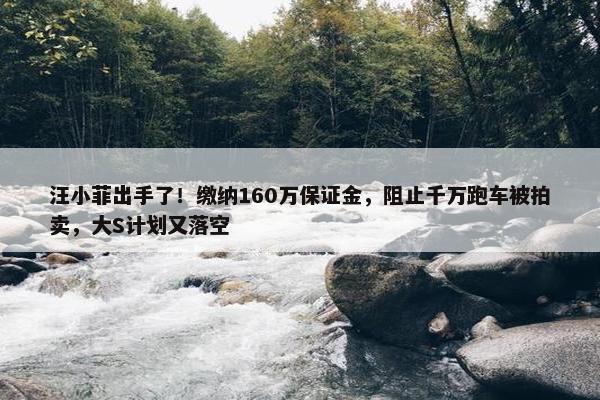 汪小菲出手了！缴纳160万保证金，阻止千万跑车被拍卖，大S计划又落空