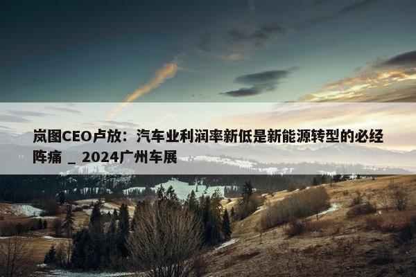 岚图CEO卢放：汽车业利润率新低是新能源转型的必经阵痛 _ 2024广州车展