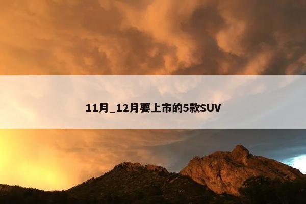 11月_12月要上市的5款SUV